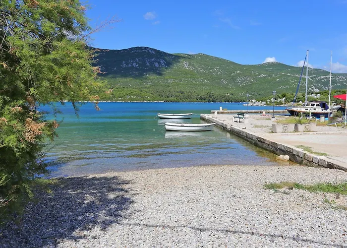 Guest house And With Parking Space Ston, Peljesac - 24234